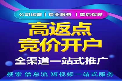 竞价排名失败案例：原因与教训